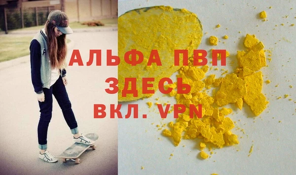 PSILOCYBIN Магас