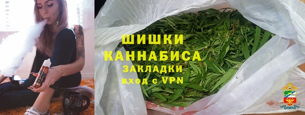 PSILOCYBIN Магас